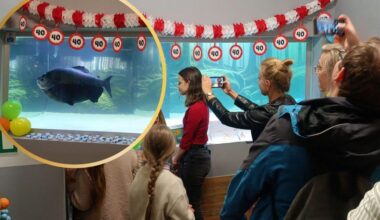 Świnoujście throws party as Poland’s oldest piranha Kasia turns 40