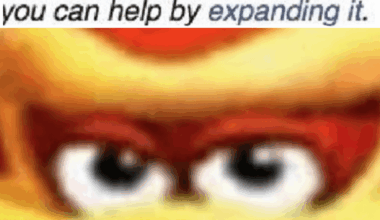 Just imagine what would happen if they got rockets just to hit said airports.