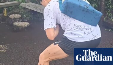 Seoul wrestles with how to handle invasion of ‘lovebugs’ | South Korea