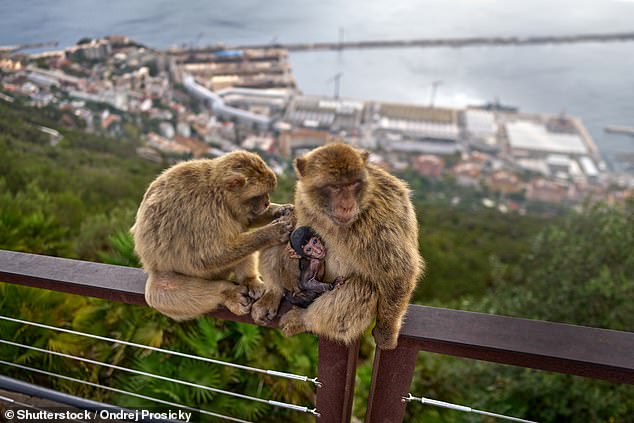 Bosses have already launched the new route, which is between Birmingham and Gibraltar, and will run all year round