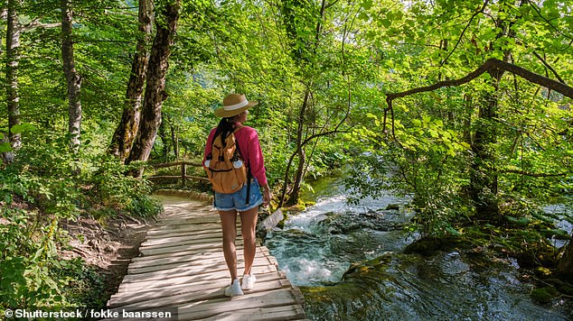 Plitvice Lakes National Park is Croatia's oldest national park and also its most dramatic - 16 lakes and countless waterfalls in every shade of blue, green and turquoise flow into the rivers