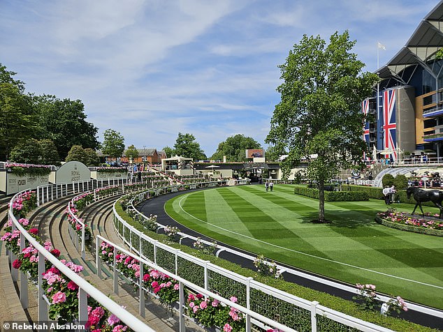 The Queen Anne Enclosure is the premium public option, with access to the Grandstand and Parade Ring (pictured) as well as singalongs around the Bandstand