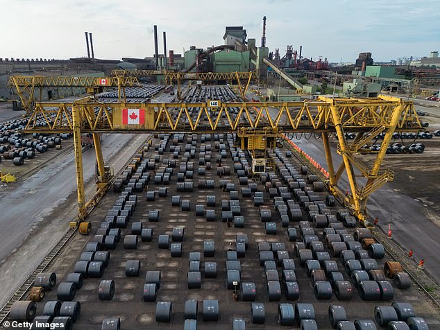 Canada is also hugely impacted by Trump's 50 percent tax on steel and aluminum imports. Canada's steel industry has laid off a staggering 1,000 workers since the first US tariffs in March (Pictured: Steel coils sit at a steel mill yard in Hamilton, Canada)
