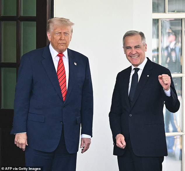 Canada has retaliated against the United States for shutting down trade talks by hiking duties on American steel imports to 50 percent if they exceed a certain quota (Pictured: President Donald Trump and Canadian Prime Minister Mark Carney at the White House on May 6, 2025)