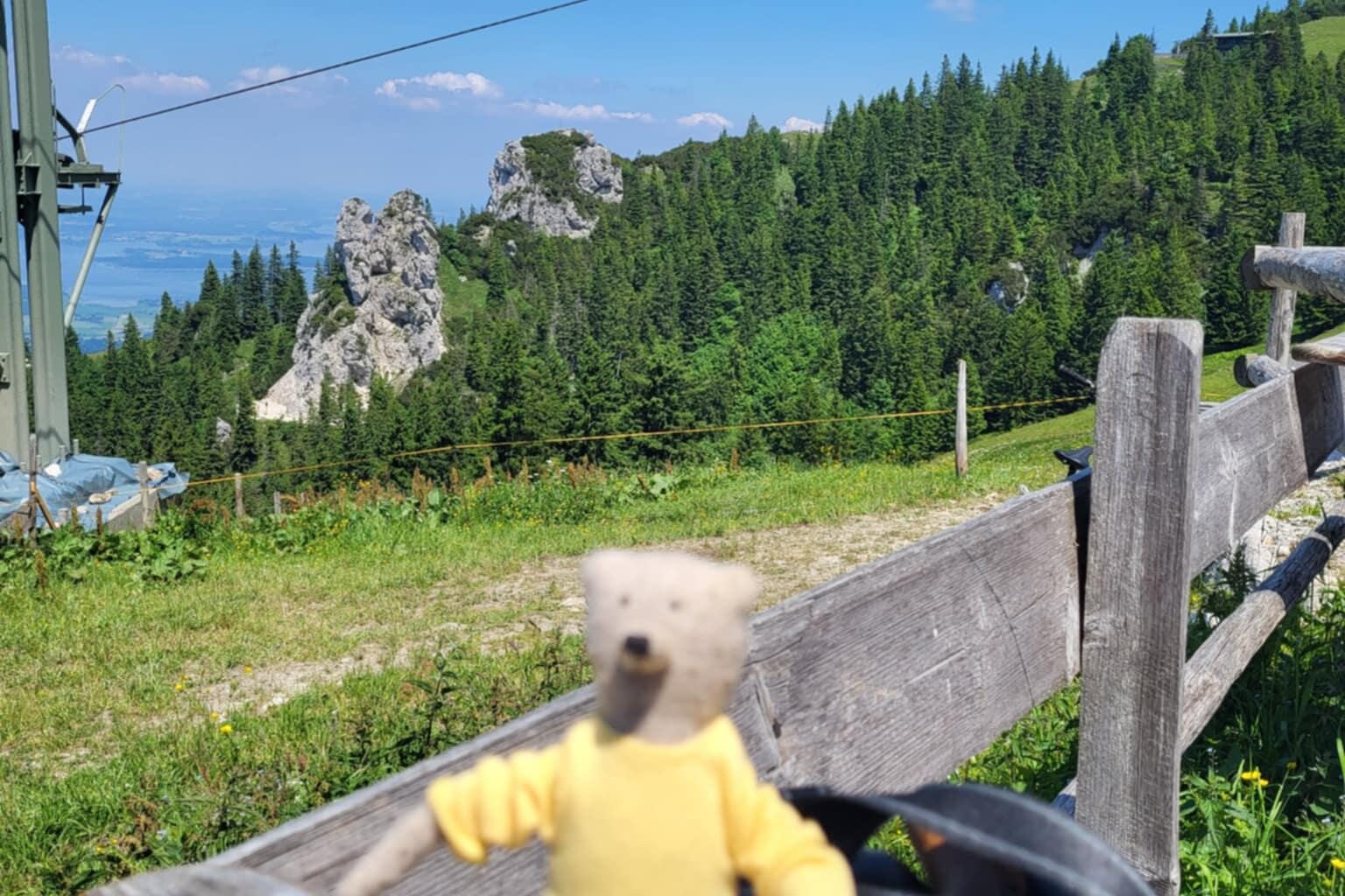 Teddy an der Kampenwand verloren. Wo ist Paul?