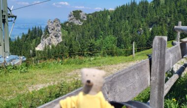 Teddy an der Kampenwand verloren. Wo ist Paul?
