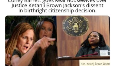 How dare you try to stop King Trump from rewriting the Constitution!