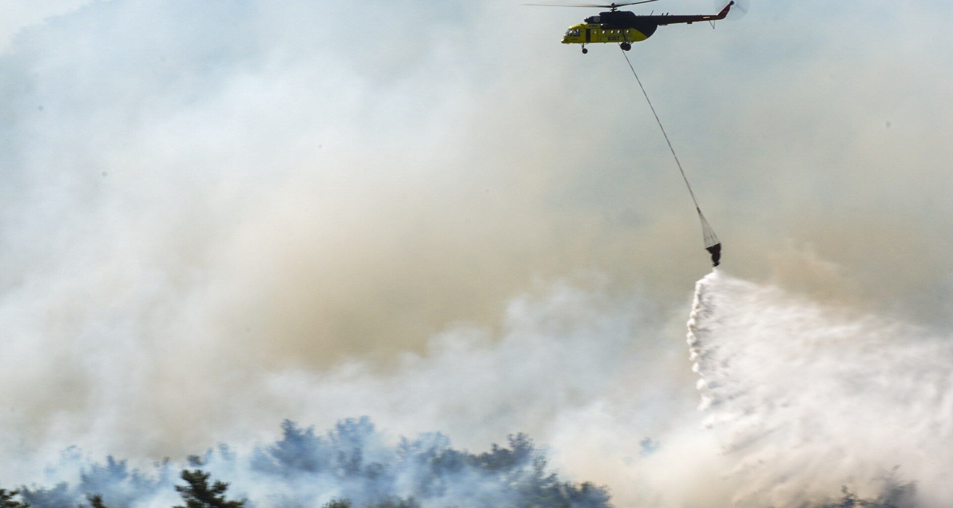 Wildfires fanned by strong winds scorch Turkiye’s Izmir | Wildlife News