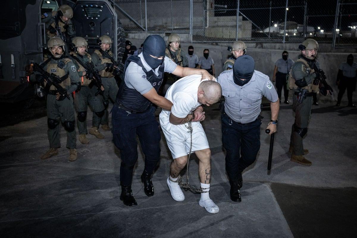Trump’s deal that got migrants shipped to notorious El Salvador prison is only making MS-13 gang stronger: report