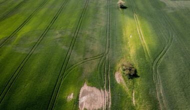 Landbrugets brug af PFAS fra pesticider stiger igen - flere ønsker forbud