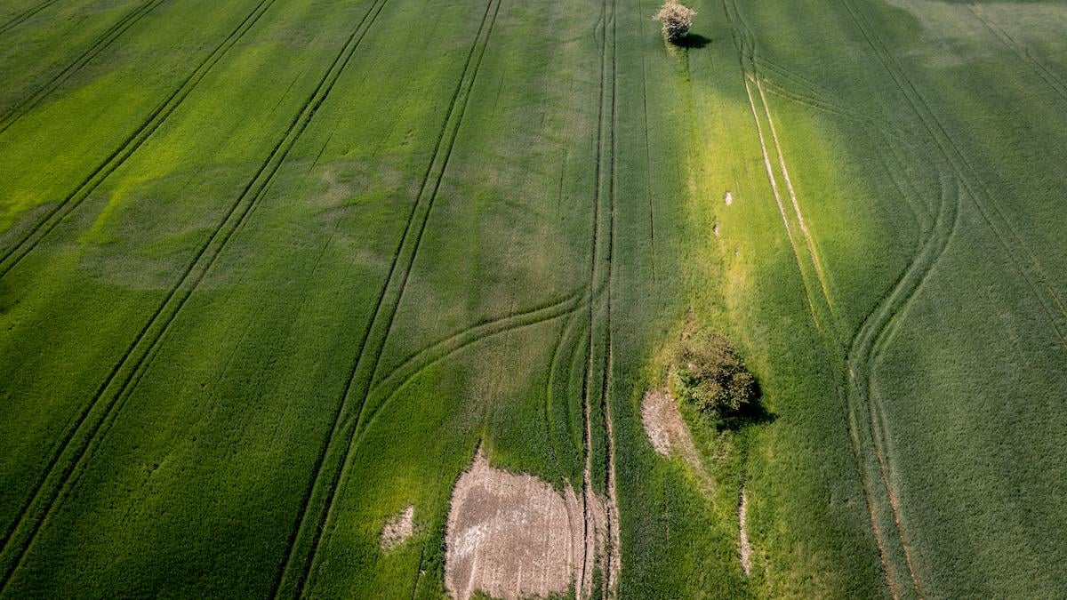 Landbrugets brug af PFAS fra pesticider stiger igen - flere ønsker forbud