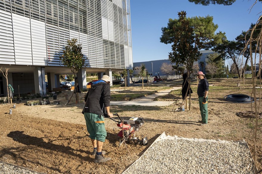 split hospital park of life