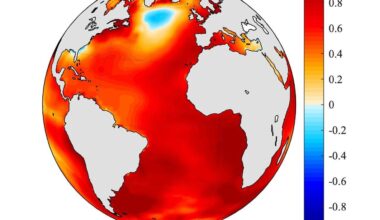Strange Atlantic cold spot linked to century-long slowdown of the Atlantic Meridional Overturning Circulation (AMOC).