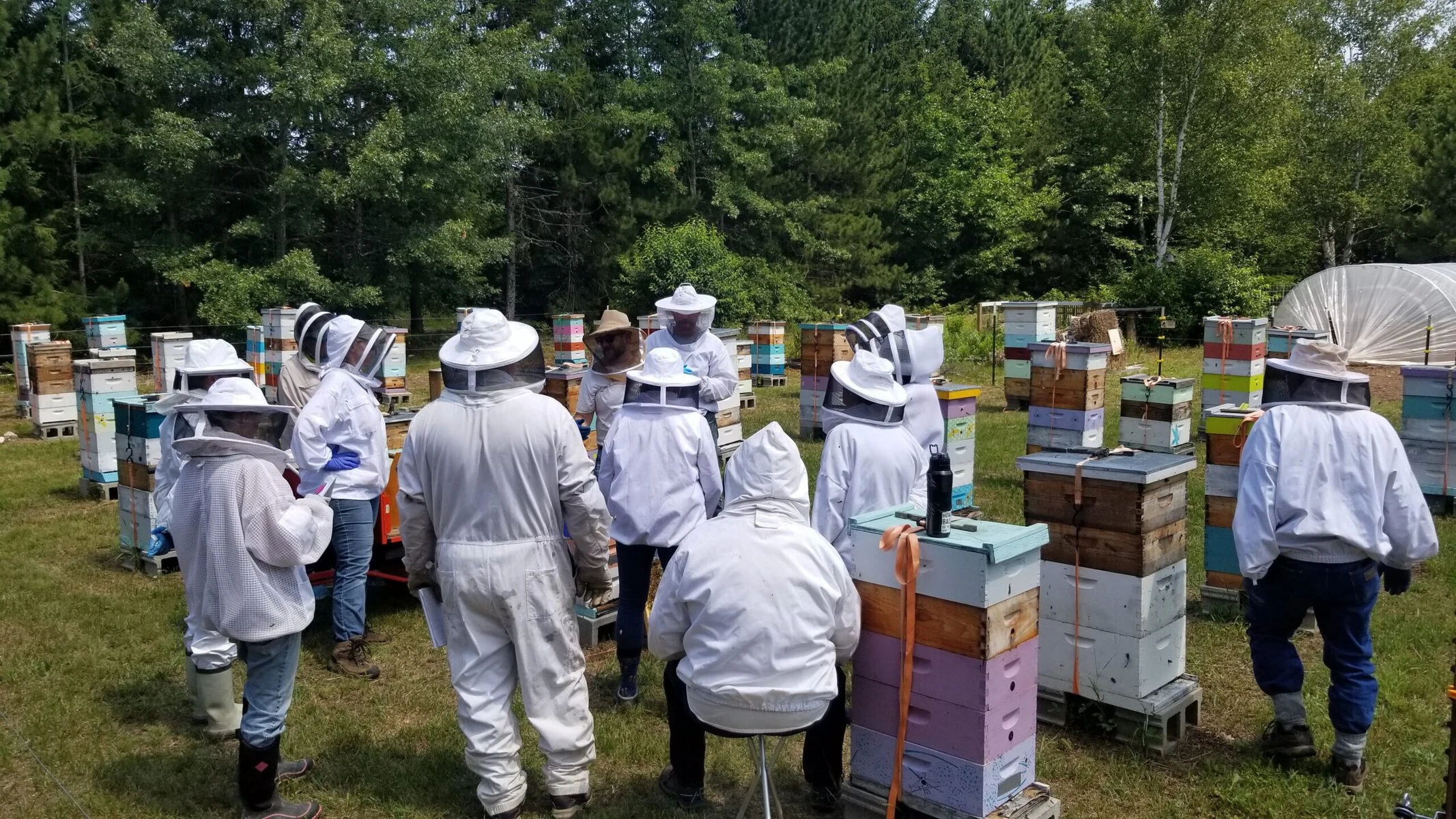 Adam Ingrao instructs veterans on the ins and outs of beekeeping at Heroes to Hives. We see the backs of many people in white beekeeping suits in a field with woods beyond.