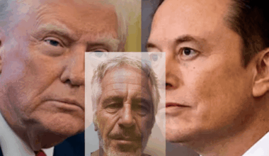 Elon Musk, Donald Trump and the accusation of a paedophile President