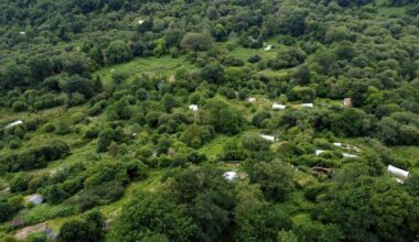 There's a tiny hidden village in Wales where everyone lives in fairytale huts dotted around the woodland