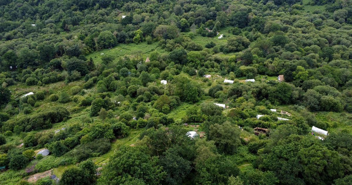 There's a tiny hidden village in Wales where everyone lives in fairytale huts dotted around the woodland