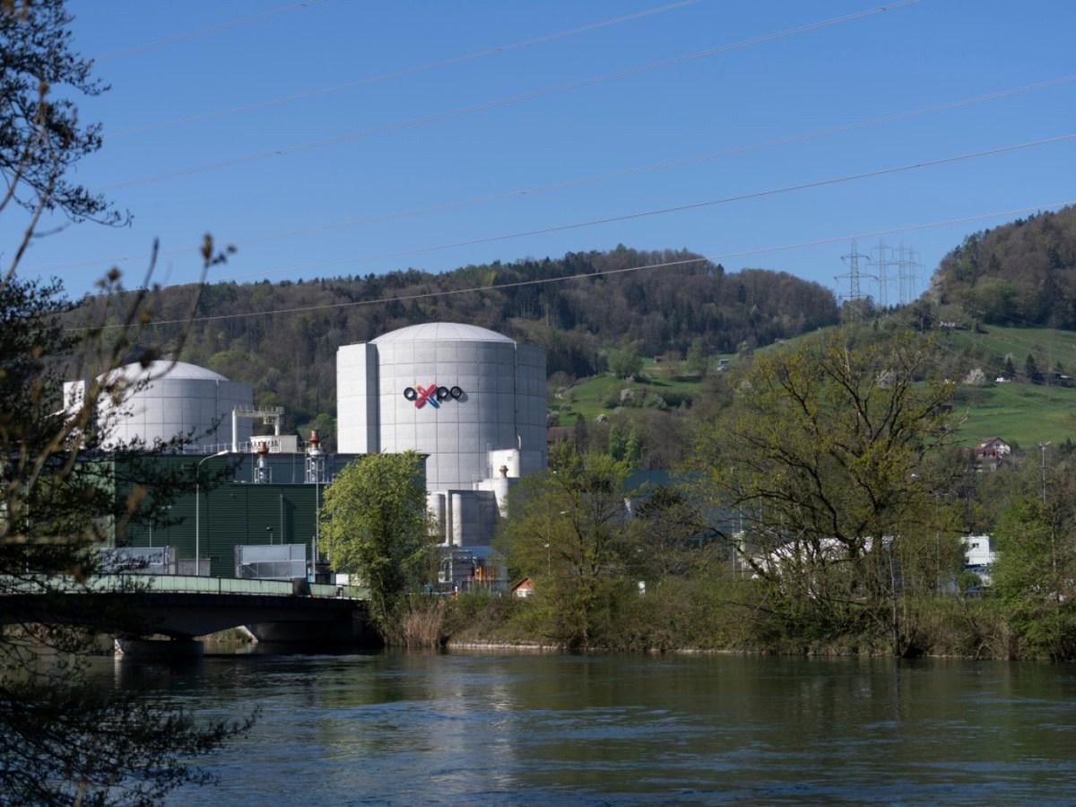 Heatwave reduces output at Swiss nuclear power plant by 50%