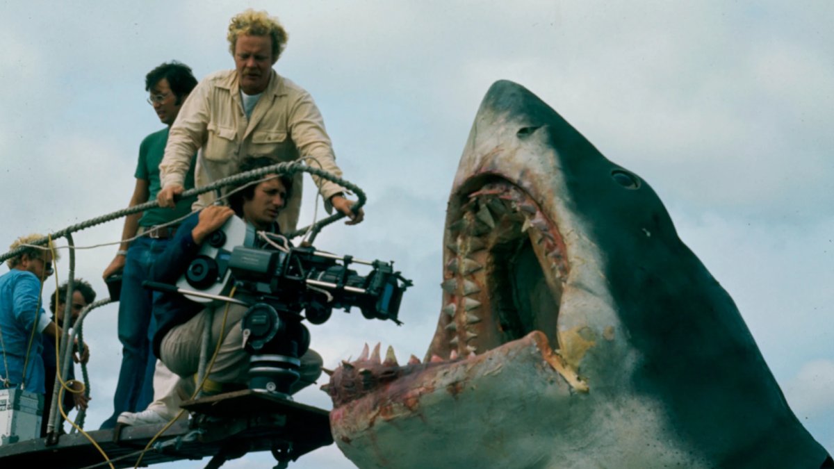 As Jaws turns 50 years old, San Diego is advancing its impact on shark science – NBC 7 San Diego