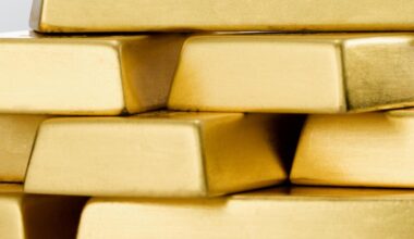 Central Bank Gold Reserves Survey 2025