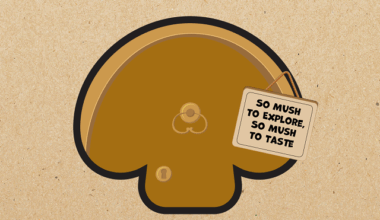 cover Cyprus Mushroom Festival to return in November