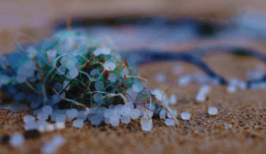 Turning the Tide on Plastic Pollution in Jamaica