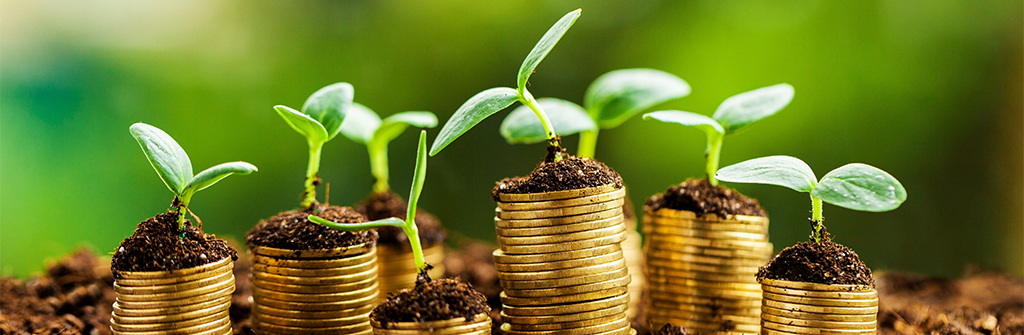 Climate Change and Scottish Parliament committees: Finance and Public Administration Committee – SPICe Spotlight