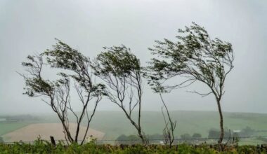 Yellow wind warning in the north and center of Moldova