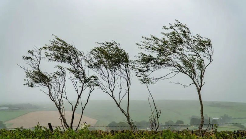 Yellow wind warning in the north and center of Moldova