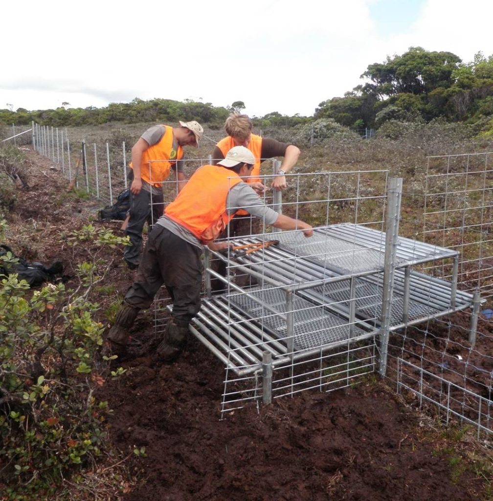 Conservation fences include stepover gates for easy access. (File Photo Courtesy: The Nature Conservancy)