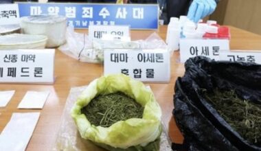 SOUTH KOREA South Korea’s drug war, tough on stars, but no rehab paths