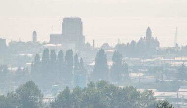 STUDY: New research points to potential climate change benefits from wildfires