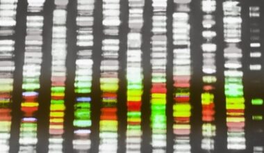 New technology brings antibiotic resistance surveillance to the field