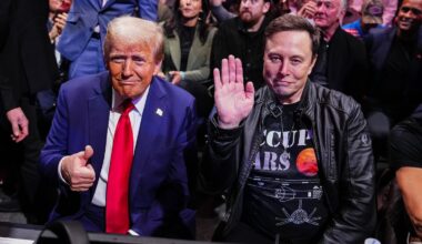 Donald Trump and Elon Musk at a UFC fight in New York