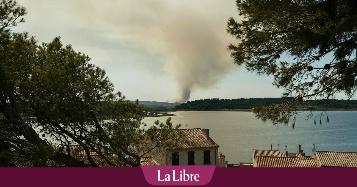 Une ministre commente la vague de chaleur en France: "C'est du jamais vu", d'importants feux de forêt en cours (PHOTOS + VIDEOS)