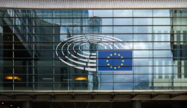The Role of the Savings and Investments Union (SIU)