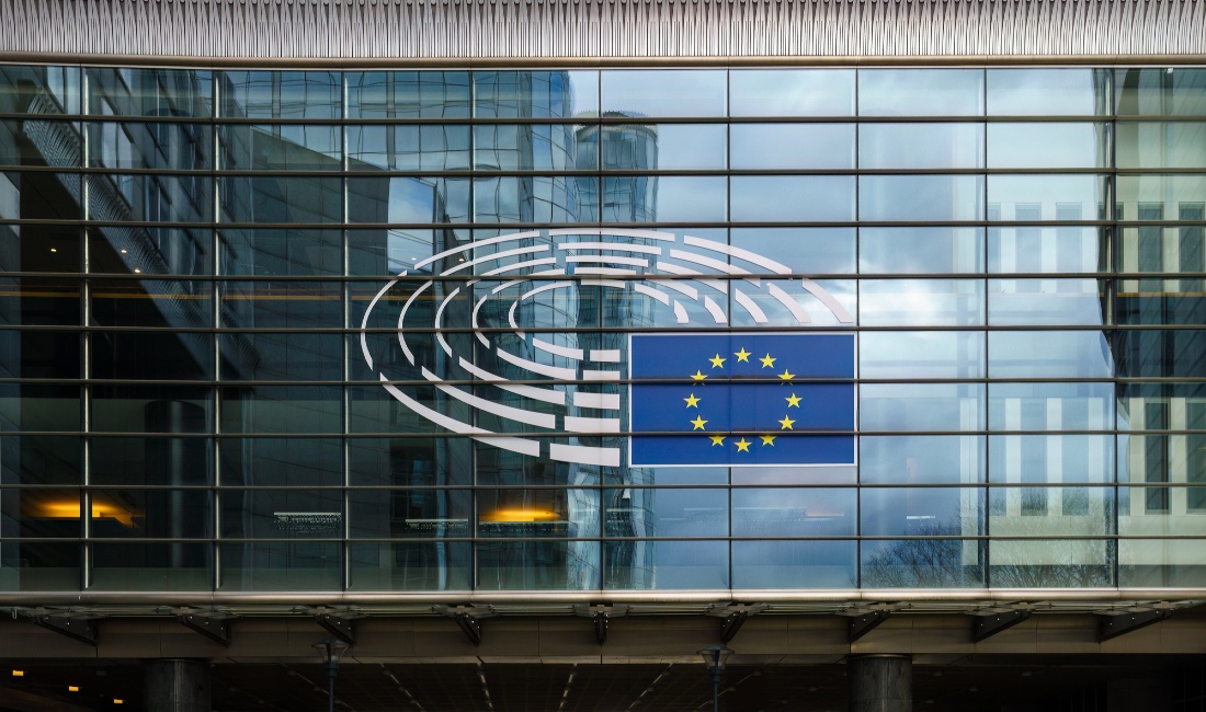 The Role of the Savings and Investments Union (SIU)