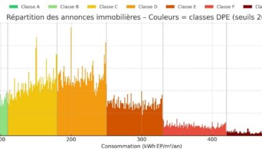 The breakdown of the declared energy consumption of homes for sale in France shows a number of statistical anomalies that point to fraud.
