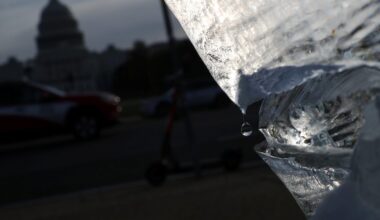 More 'sophisticated' climate misinformation: The fossil fuel industry and right-wing populists are increasingly targeting key policy-makers through backdoor channels, according to a new report