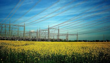 cover What Malta’s electricity model would mean for Cyprus 
