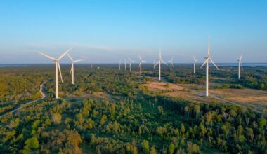 Wind Farm