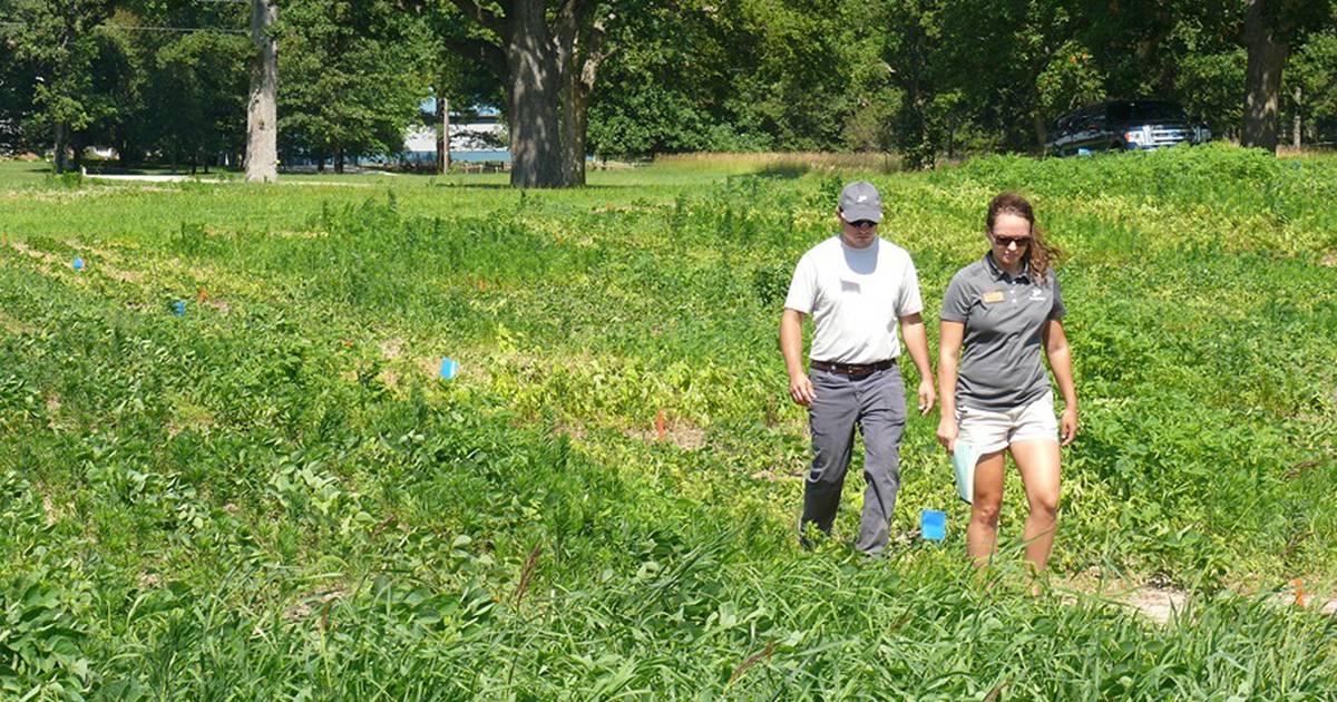 Weed Science Field Day offers research tour, info sessions, networking – AgriNews
