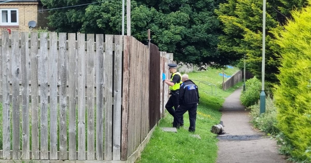 Homes evacuated as bomb squad called to estate