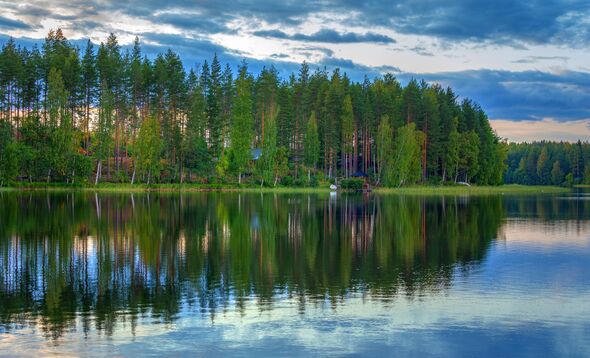 Forest reflection in a lake in Finland