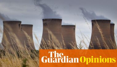 Ancient trees are shipped to the UK, then burned – using billions in ‘green’ subsidies. Stop this madness now | Dale Vince
