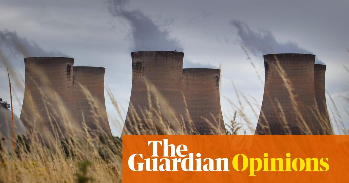 Ancient trees are shipped to the UK, then burned – using billions in ‘green’ subsidies. Stop this madness now | Dale Vince