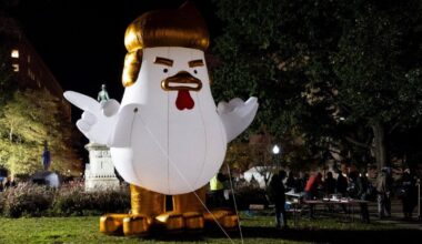 Democrats Will Hand Out Free Tacos to Mock Trump