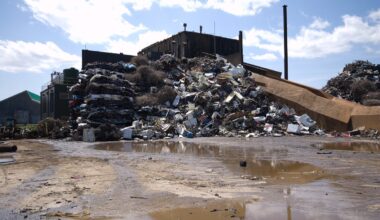 Go Local to Save the Environment