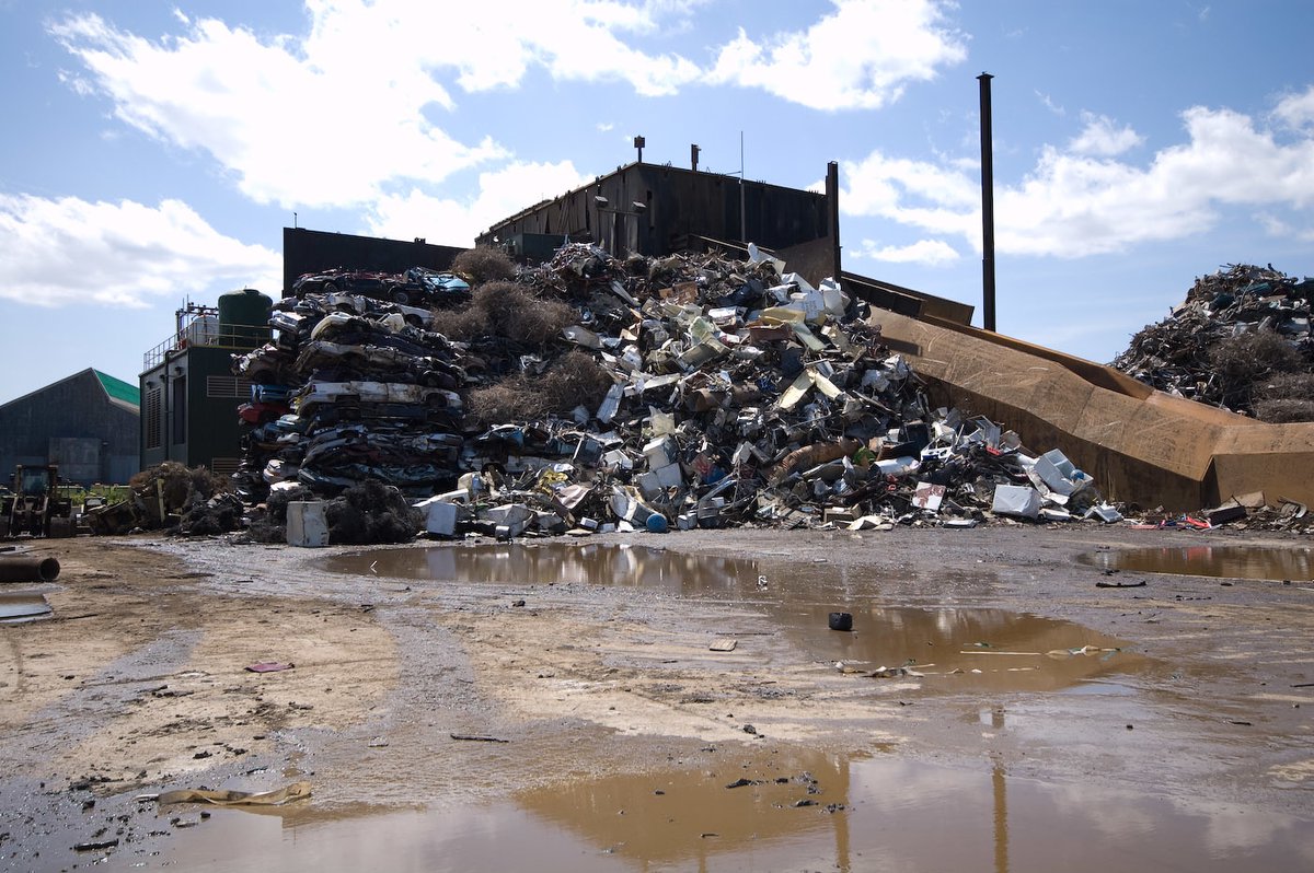 Go Local to Save the Environment