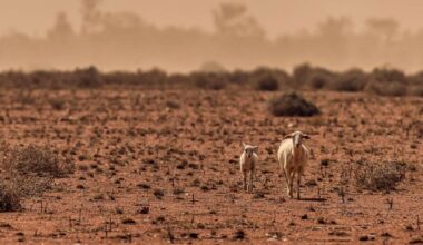Key driver increased by climate change is worsening droughts
